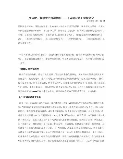 潘国灵 对 金融危机的看法