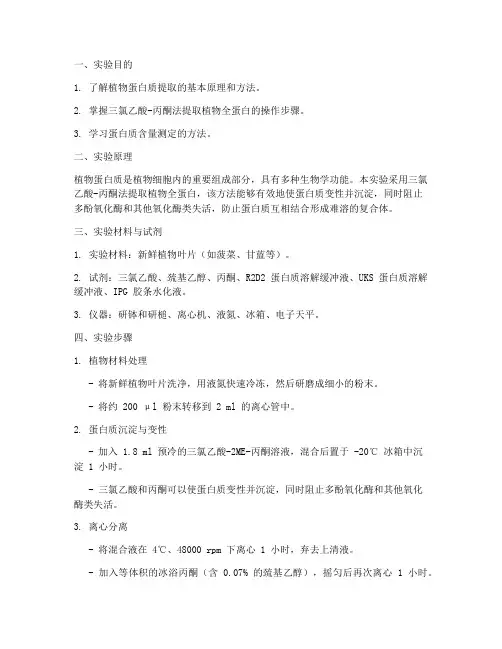 植物提取蛋白实验报告