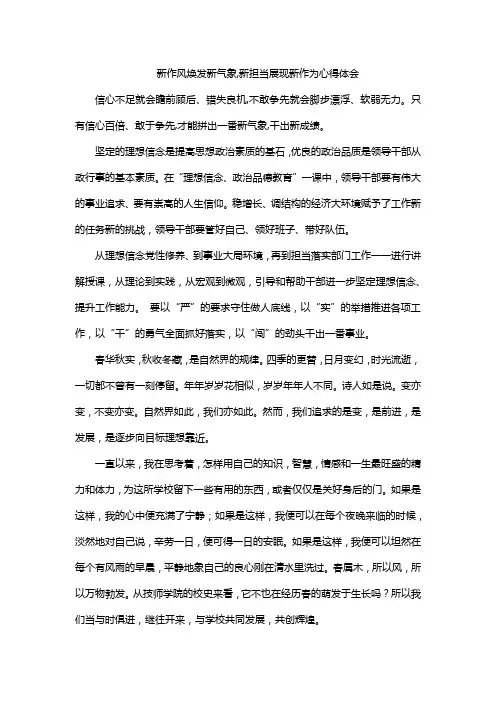 新作风焕发新气象,新担当展现新作为心得体会