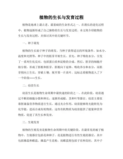 植物的生长与发育过程