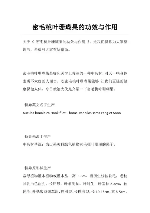 密毛桃叶珊瑚果的功效与作用