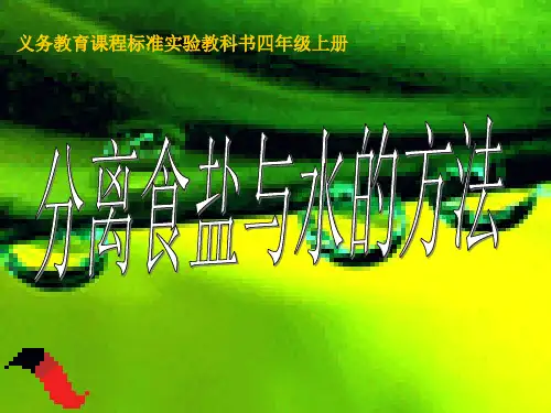 四年级上册科学课件-2.7分离食盐与水的方法 教科版(共17张PPT)