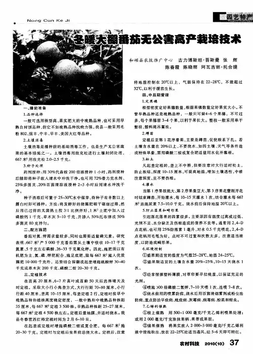 冬暖大棚番茄无公害高产栽培技术