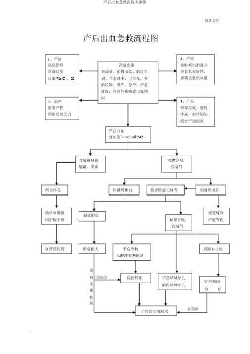 产后出血抢救流程纲要图
