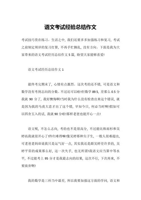 语文考试经验总结作文