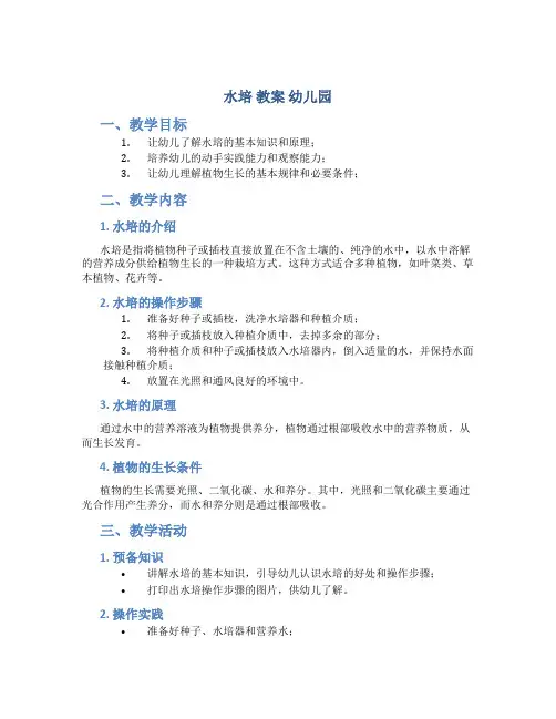水培 教案 幼儿园