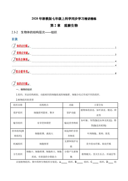 专题2.3.2生物体的结构层次——组织(原卷版+解析)