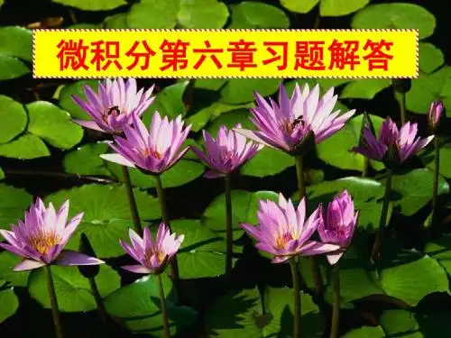 微积分第六章习题解答