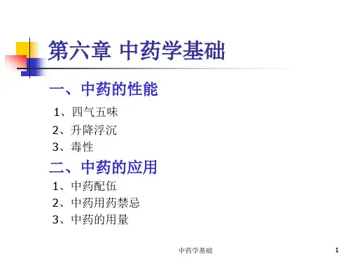 中药学基础PPT课件