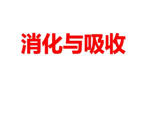 六年级科学下册_5消化与吸收57冀人版(9张ppt)精品课件
