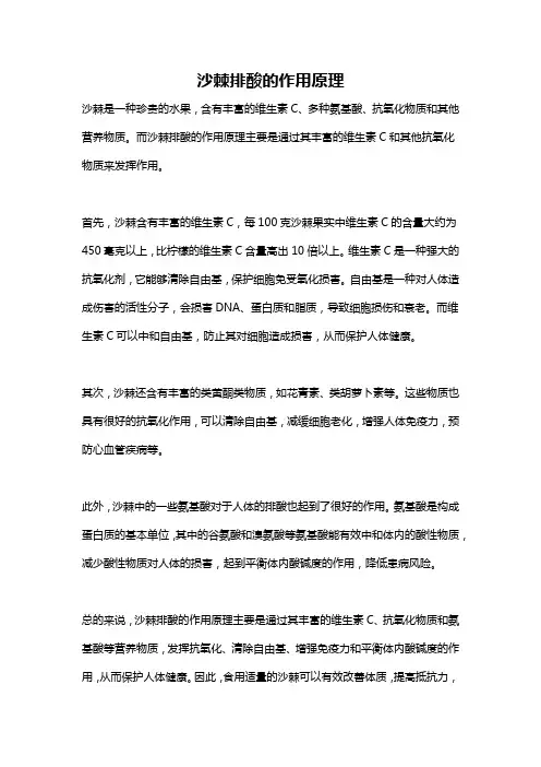 沙棘排酸的作用原理
