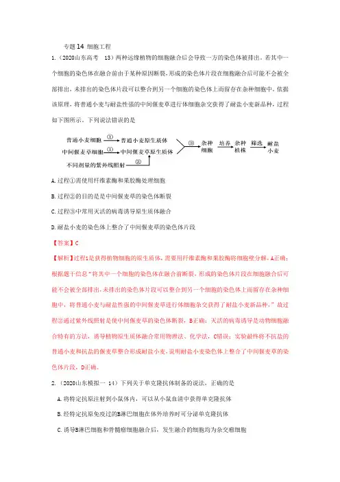 专题14 细胞工程-山东省新高考生物真题(2020-2022)和省统考生物试题(2019年12月和2