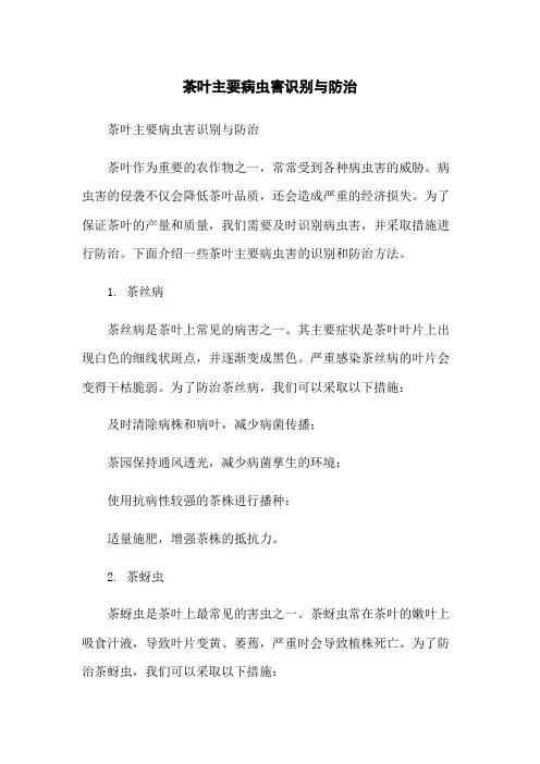 茶叶主要病虫害识别与防治