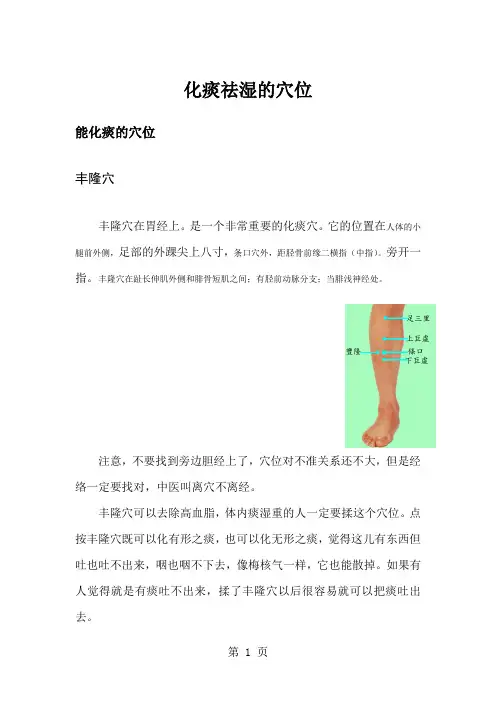 化痰祛湿的穴位-13页精选文档