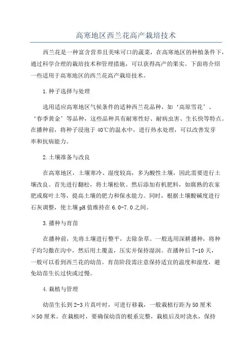高寒地区西兰花高产栽培技术