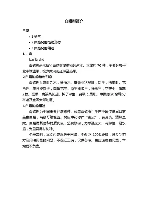 白蜡树简介
