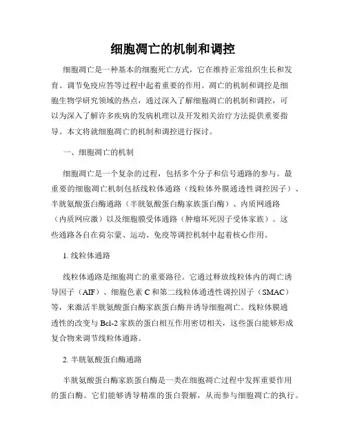 细胞凋亡的机制和调控