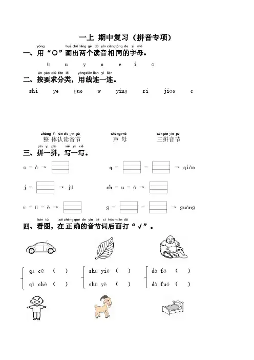 期中复习专项(1年级语文上册)(拼音专项)