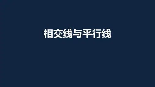 2020年苏科版数学中考专题复习课件：相交线和平行线(共20张PPT)