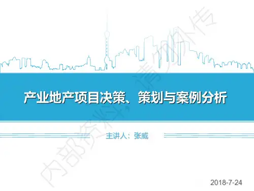 产业地产项目决策 策划与案例分析