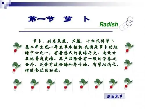 01第一节 萝卜讲解