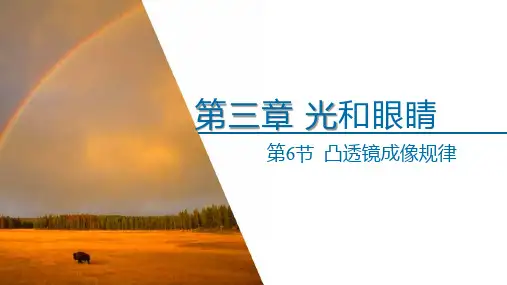 2024年秋沪粤版八年级物理上册 3.6 凸透镜的成像规律(课件)