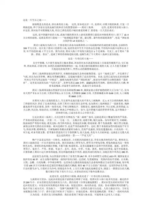 黄河口湿地介绍