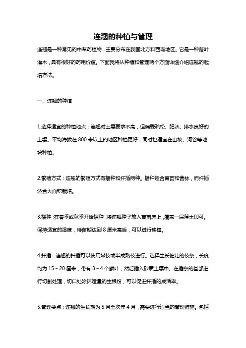 连翘的种植与管理