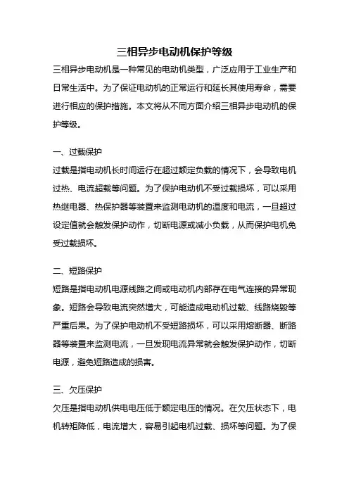三相异步电动机保护等级