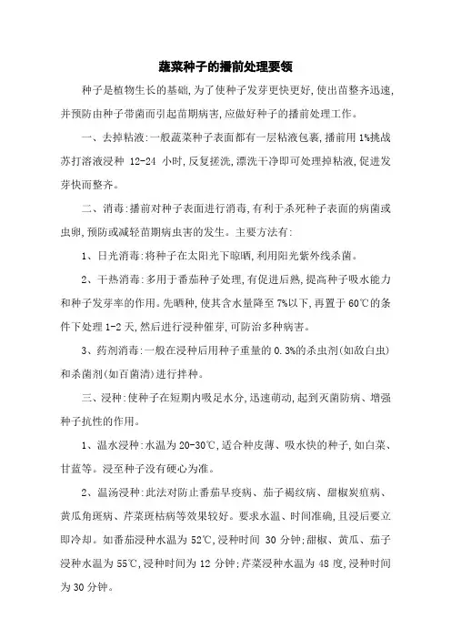 蔬菜种子的播前处理要领