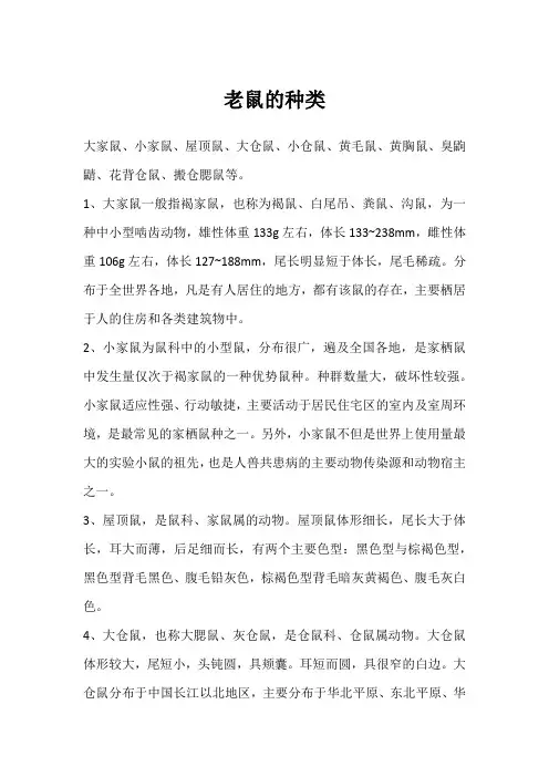 老鼠的种类