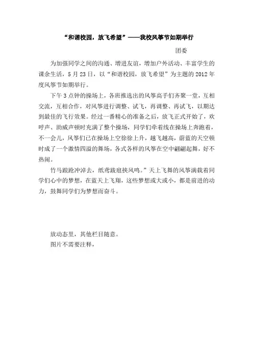 风筝节新闻稿