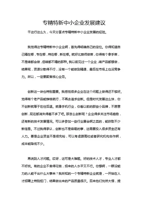 专精特新中小企业发展建议