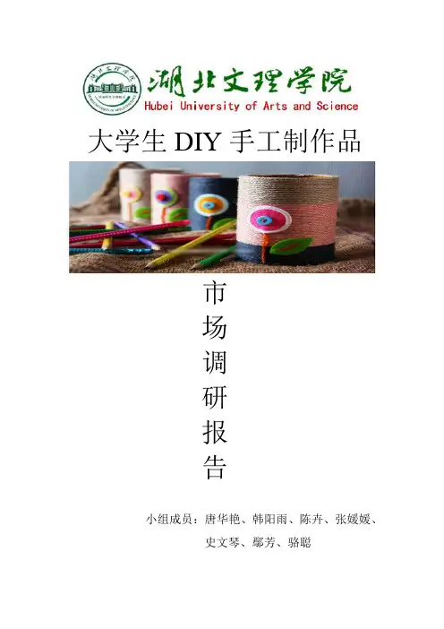 DIY市场调研报告