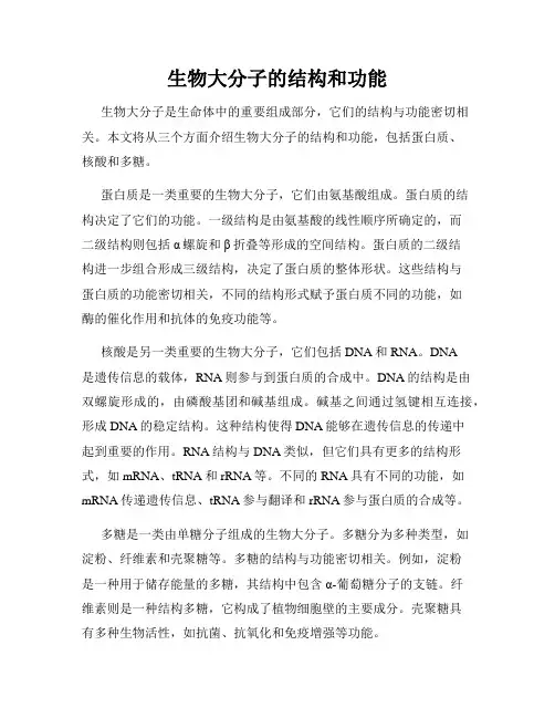 生物大分子的结构和功能