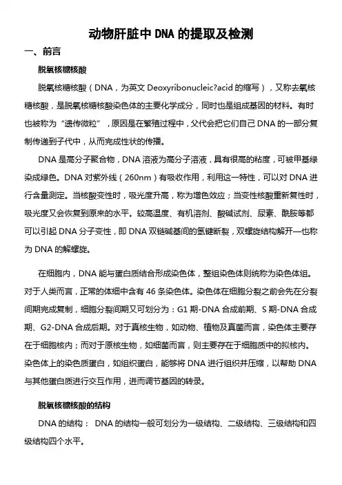 动物肝脏中DNA的提取及检测实验报告