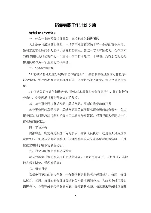 销售实践工作计划5篇
