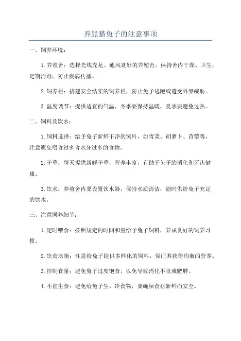 养熊猫兔子的注意事项