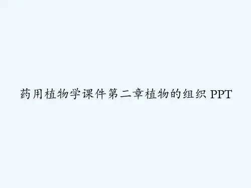 药用植物学课件第二章植物的组织 PPT