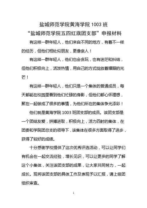 五四红旗团支部申报材料