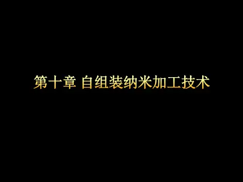 第八章 自组装纳米加工技术