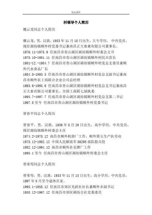 村领导个人简历