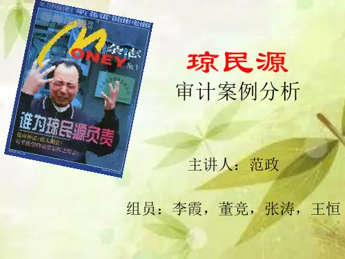 琼民源审计案例分析