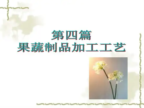 果蔬制品加工工艺