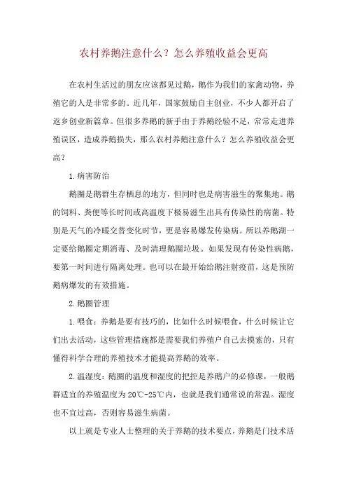 农村养鹅注意什么？怎么养殖收益会更高