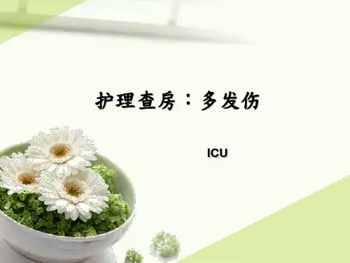 多发伤-护理查房