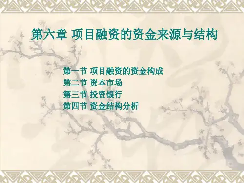 项目融资第六章 项目融资的资金来源(资金结构)