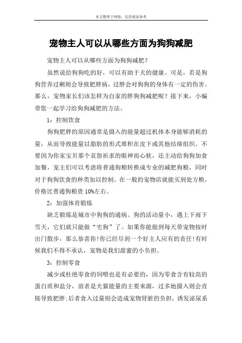 宠物主人可以从哪些方面为狗狗减肥