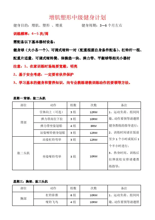 中级增肌计划