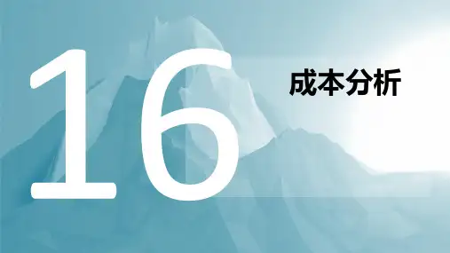 	 成本会计实务16 成本分析